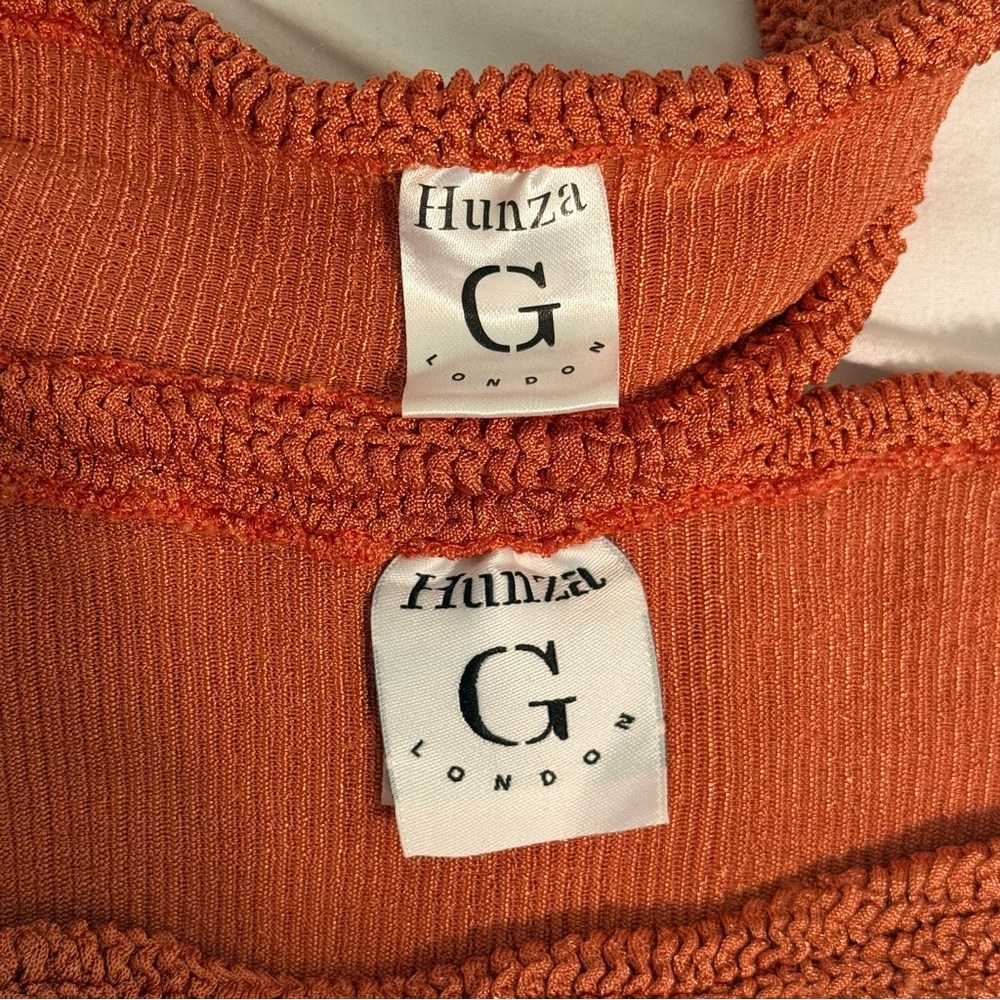 Hunza G Crinkle Bikini in Metallic Rosewood - Picture 2 of 6